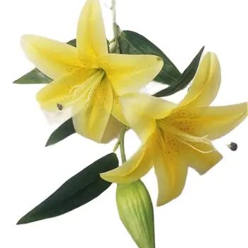 4pcs Umetno Lily Veje Pravi Dotik Dobre Kakovosti Zelenkasto Llily Cvet za Poroko Centerpieces Doma Stranka Cvetlični Okras 0