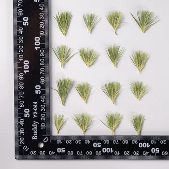 100 kozarcev Pritisnete Posušen Cvet Zeleno Travo Herbarij Za Nail Art Nakit Zaznamek Telefon Primeru Vabilo Kartice DIY