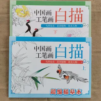 Kitajsko Slikarstvo Natančna Risba Izvod Knjige Otrok Umetnosti Začetek Practice Book Kolorit Skladu Slikarstvo Sliko Albuma