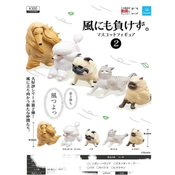 Japonska Qualia Gacha Živali V Vetru smeri proti vetru, Pes in Mačka Gashapon Kapsula Toy Model Namizje Decoratoion Lutka Darila za Otroke