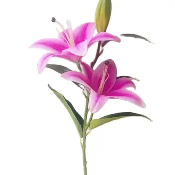 4pcs Umetno Lily Veje Pravi Dotik Dobre Kakovosti Zelenkasto Llily Cvet za Poroko Centerpieces Doma Stranka Cvetlični Okras 5