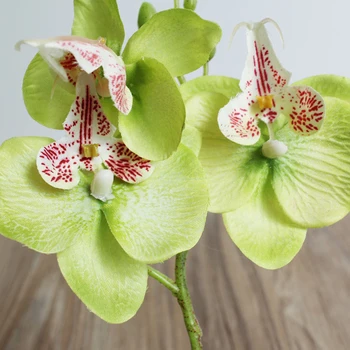 Umetni Phalaenopsis Cvet Pravi Dotik Latex Metulj Orhideja Flores z Listi, Poročni Home Office Dekoracijo 5